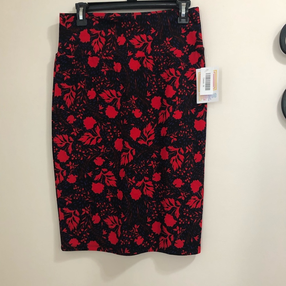 Lularoe Cassie Skirt (M)
